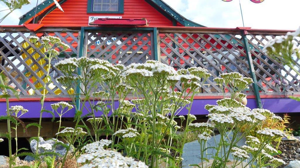 Mountain Thyme Getaway Barkerville Exterior foto